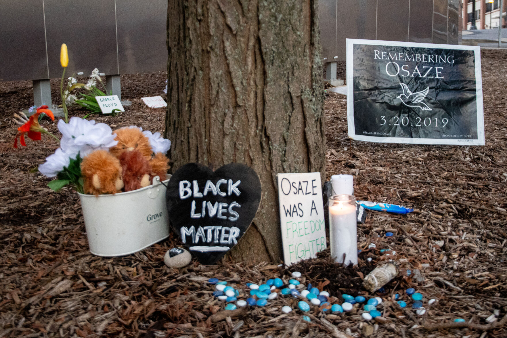 Signs, memorial decorations sit under MLK Memorial tree at 'Reflect and Respect' event